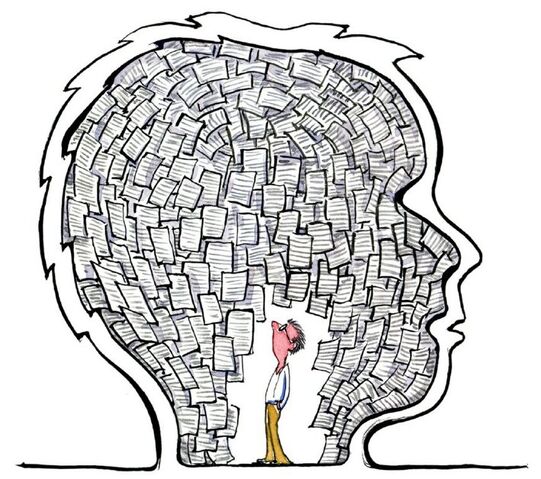 File:Brain.jpg