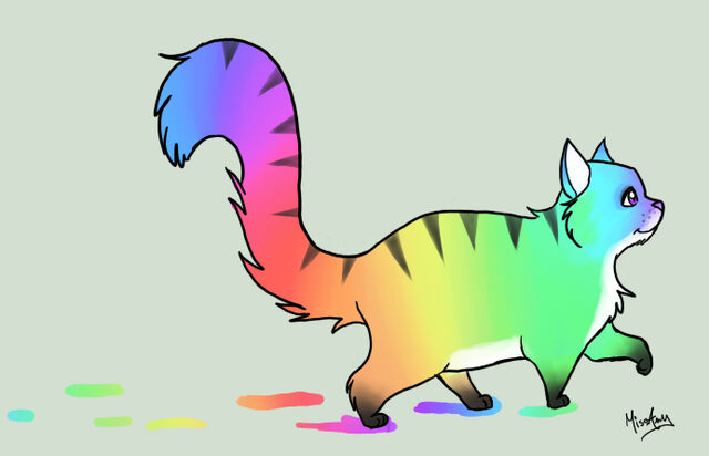 File:RAINBOW.jpg