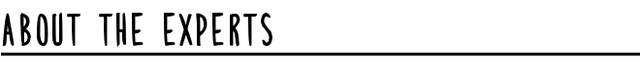 File:Aboutexperts.png