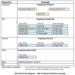 Data Hierarchy