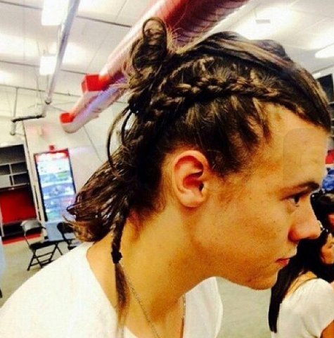 File:Harry-braid.png