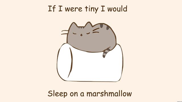 File:Pusheen.jpg