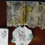 DSCF0046