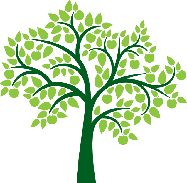 image tree clipart png