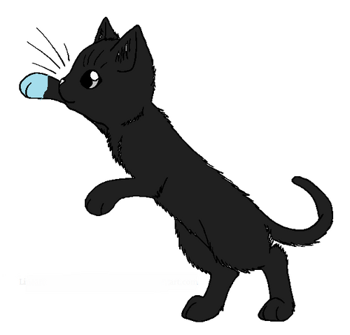 File:Silverkit.png