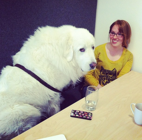 File:Falkor and trellar.png