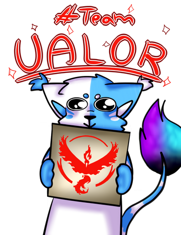 File:Team VALOR.png