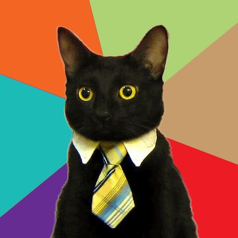 File:Business cat.jpg
