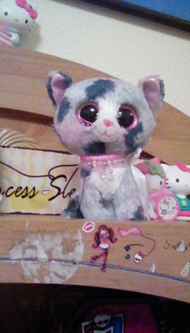 File:My cat.jpg