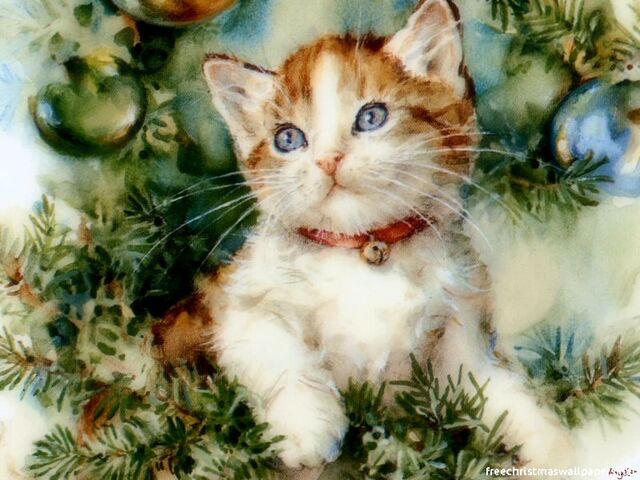 File:JKitty.jpeg