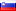 Icon-Slovene
