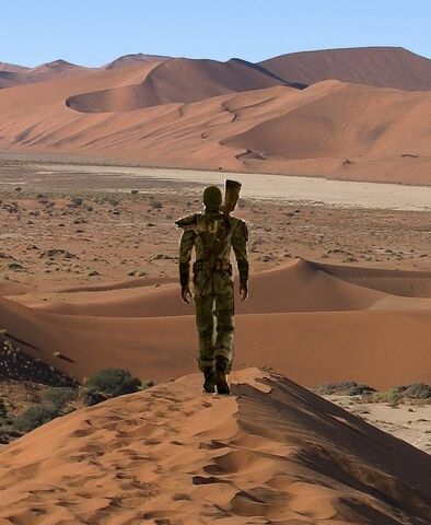File:DuneDrifter.jpg