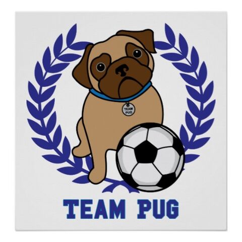 File:Pug Aussie.jpg