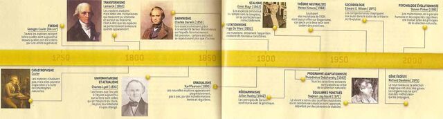 File:Frise.evolution.jpg