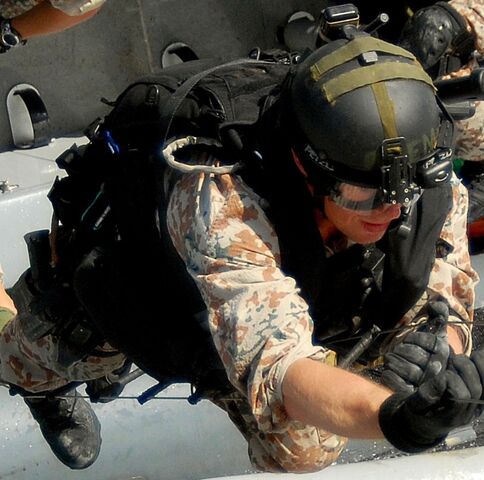 File:Frogman.jpg