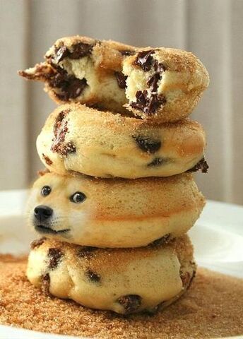 File:Hungry.jpg
