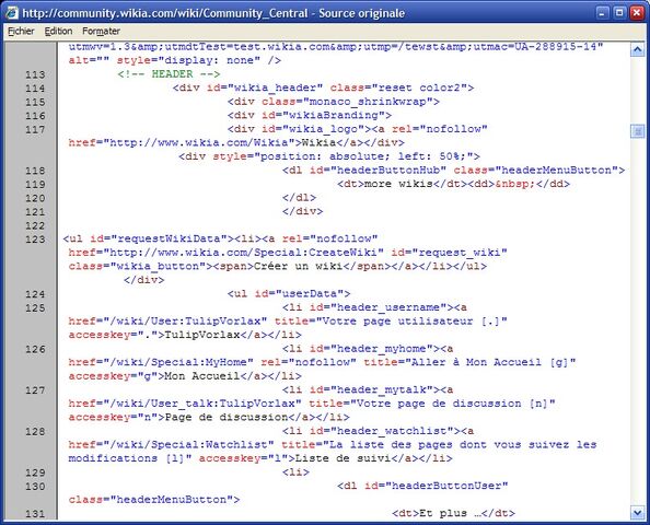 File:IE8 - Source window.jpg