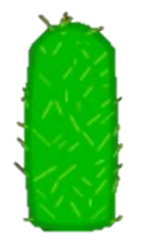 File:Cactus Body.png
