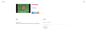 Image Lightbox Share
