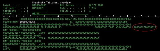 File:Screenbi90fehler.jpg
