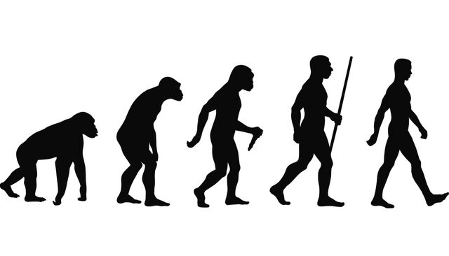 File:La evolución .jpg