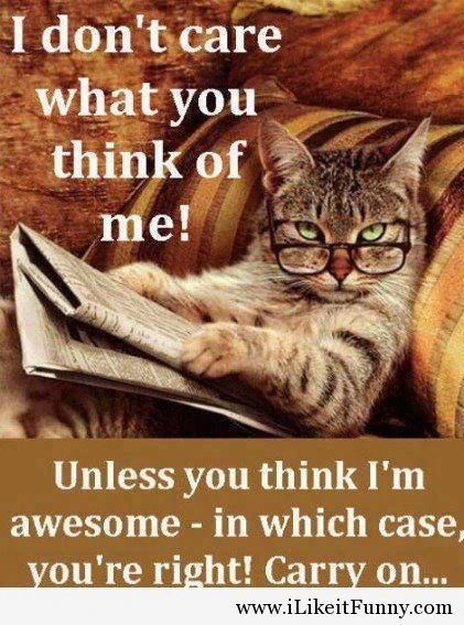 Image - Nice-funny-quotes-thoughts-.jpg | Community ...