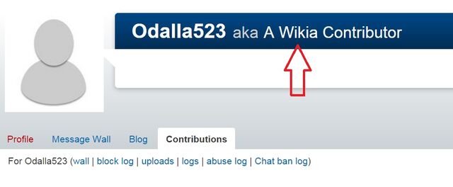 File:IP Addr 87.jpg