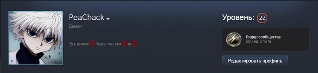 File:Steam profile.jpg