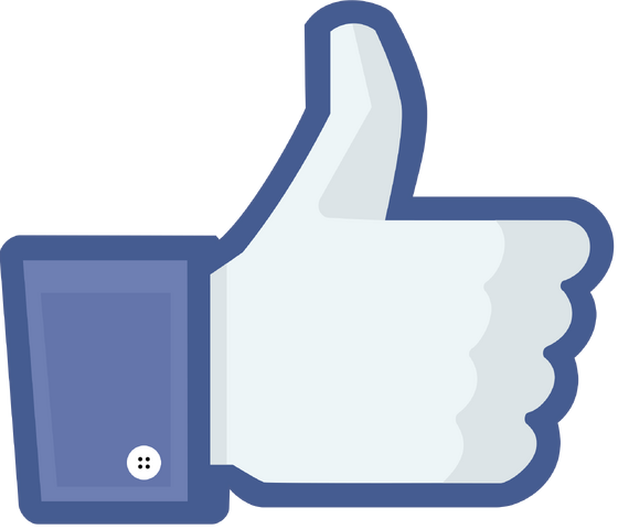 File:Facebook Conradho.png
