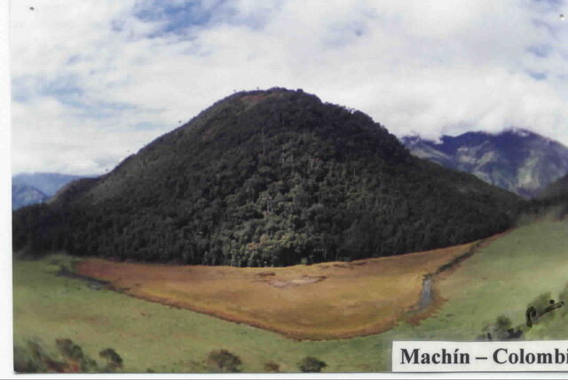 File:Machin.jpg