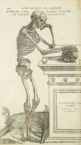 File:Vesalius-copy.jpg