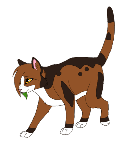 File:Spottedleaf by taravia-d5xi1hr.gif
