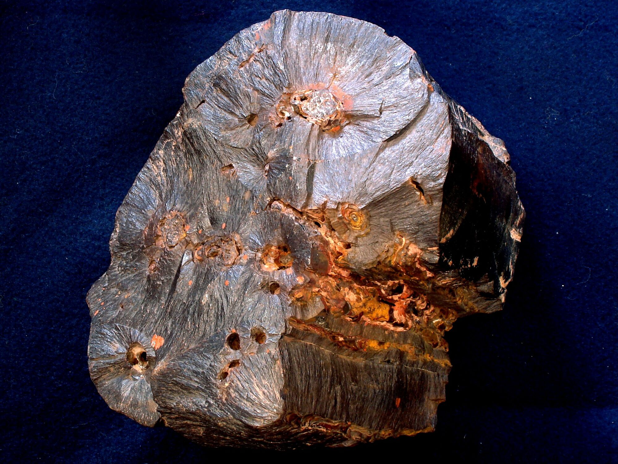 CategoríaIron minerals Cerámica Wiki FANDOM powered by Wikia