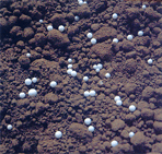 Arcilla aligerada