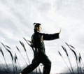 Kungfu