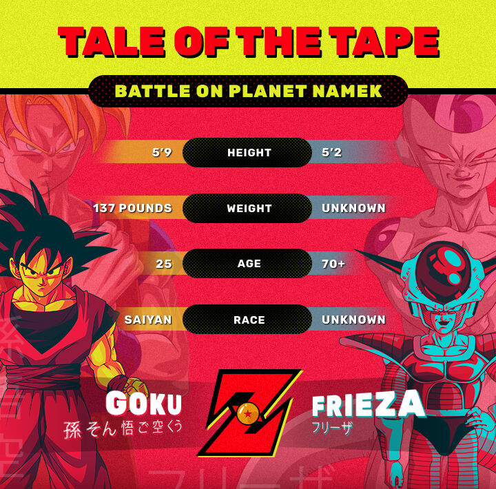 Dragon Ball Z Son Goku and Frieza Ball Battle on Planet Namek