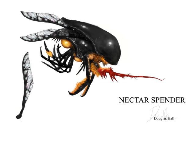 File:Nectar spender 1.jpg