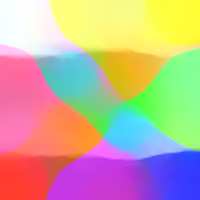Bur2