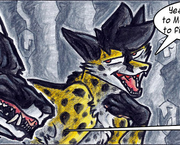 Cheetah9