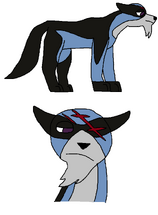 Szafir ref