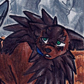 Kuma11