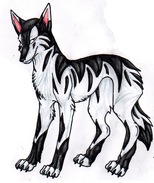 Shiro4