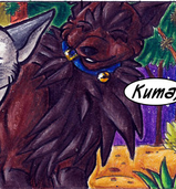 Kuma4