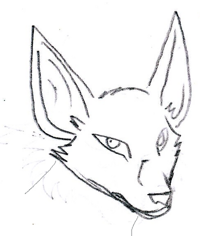 File:Fennec.png