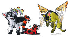 Puppy Motyl