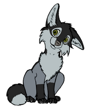 Kaina - puppy