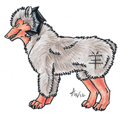 Kozel