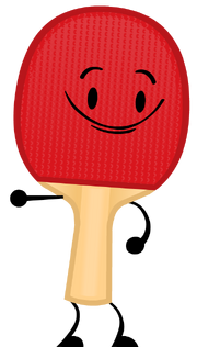 Ping Pong Racket