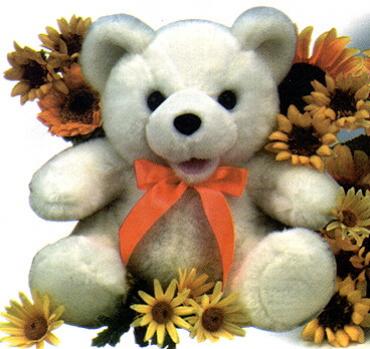 you are my sunshine musical teddy bear