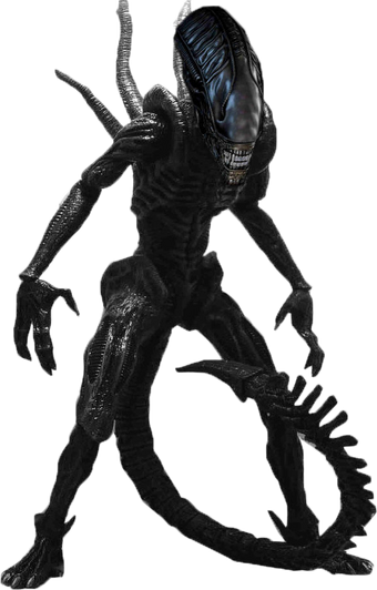 Alien Xenomorph Statistics